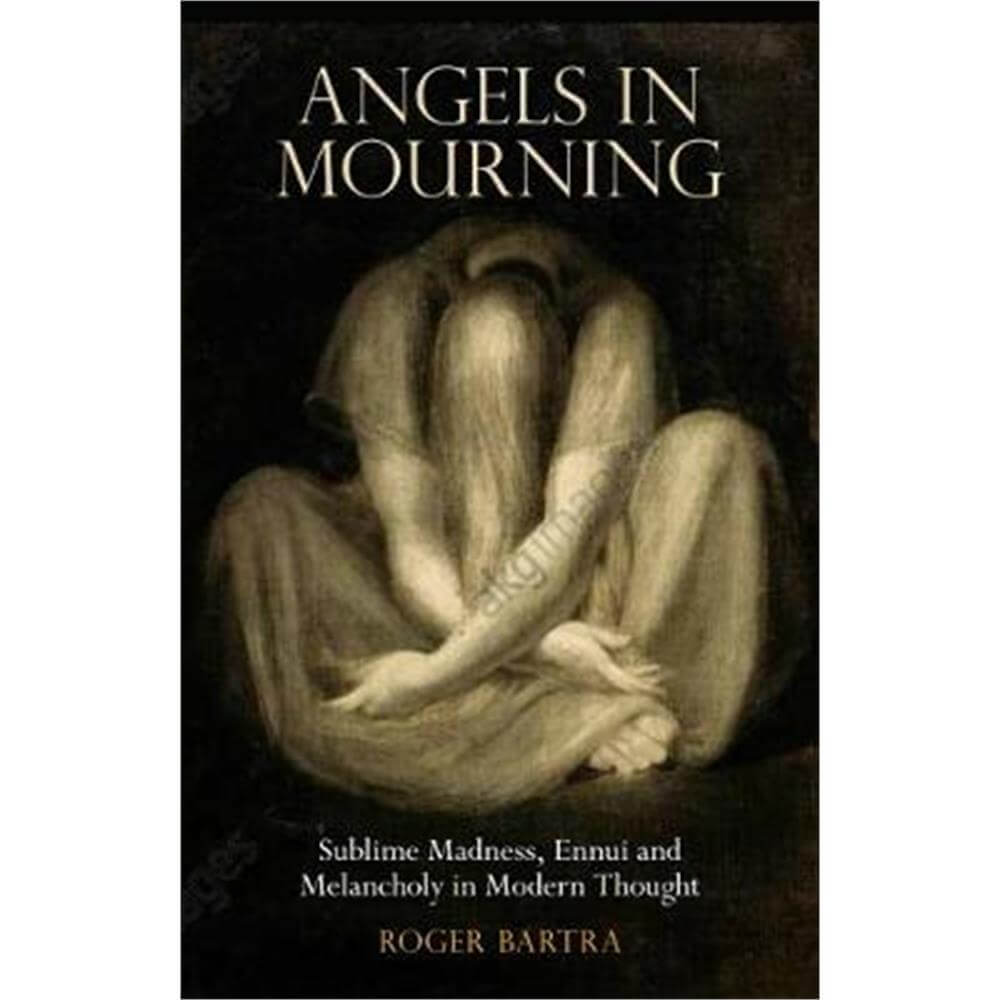 Angels in Mourning (Hardback) - Roger Bartra